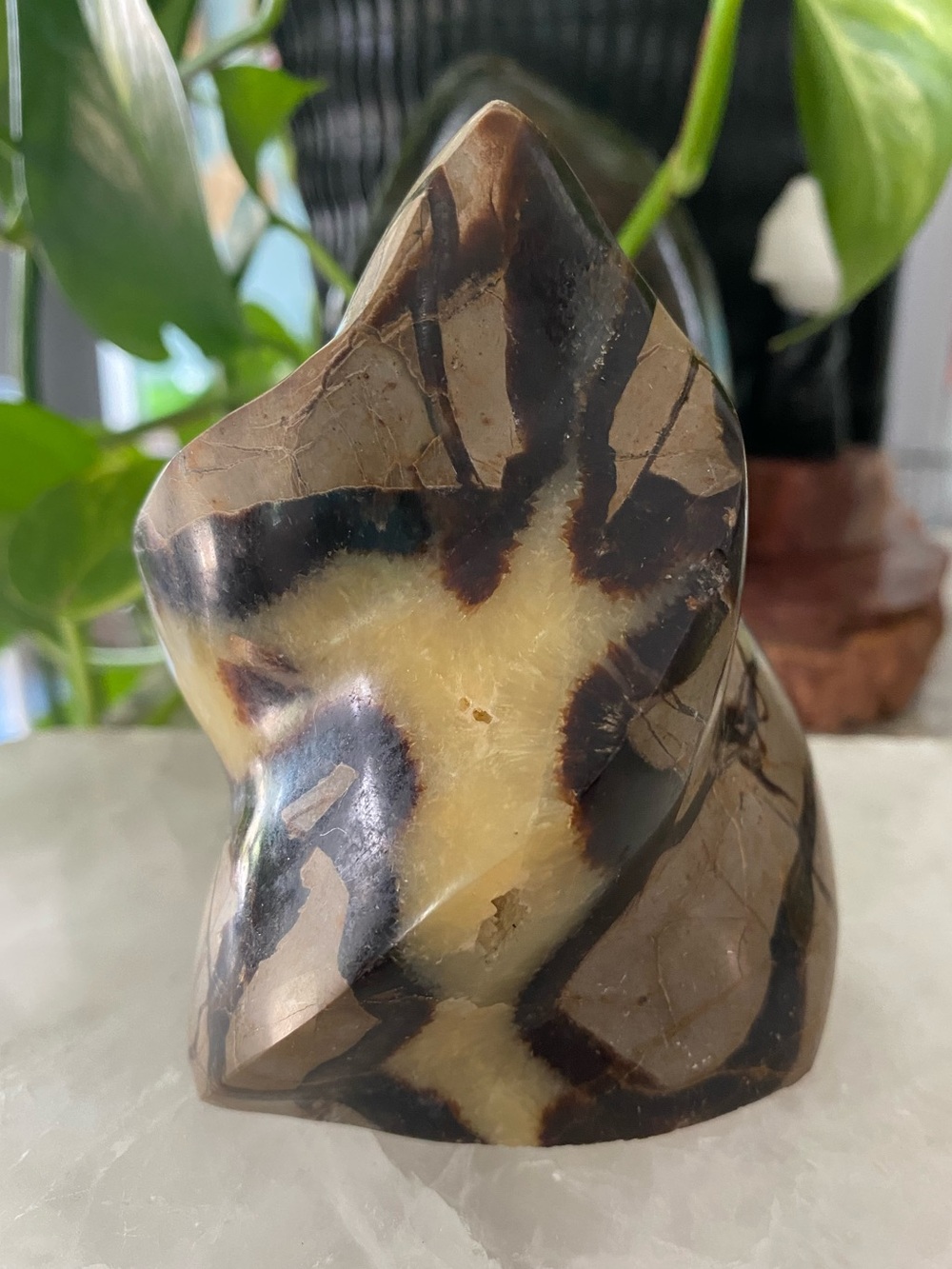 🔥💛🖤 UV-REACTIVE SEPTARIAN FLAME 🖤💛🔥